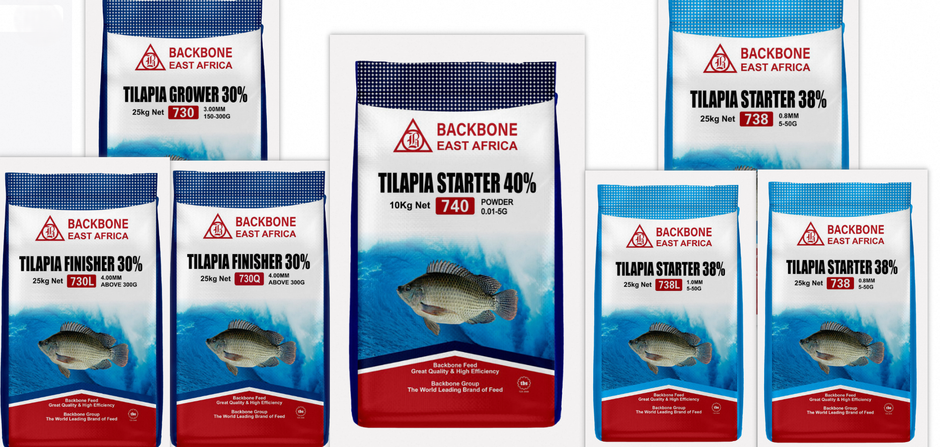 Tilapia Feed