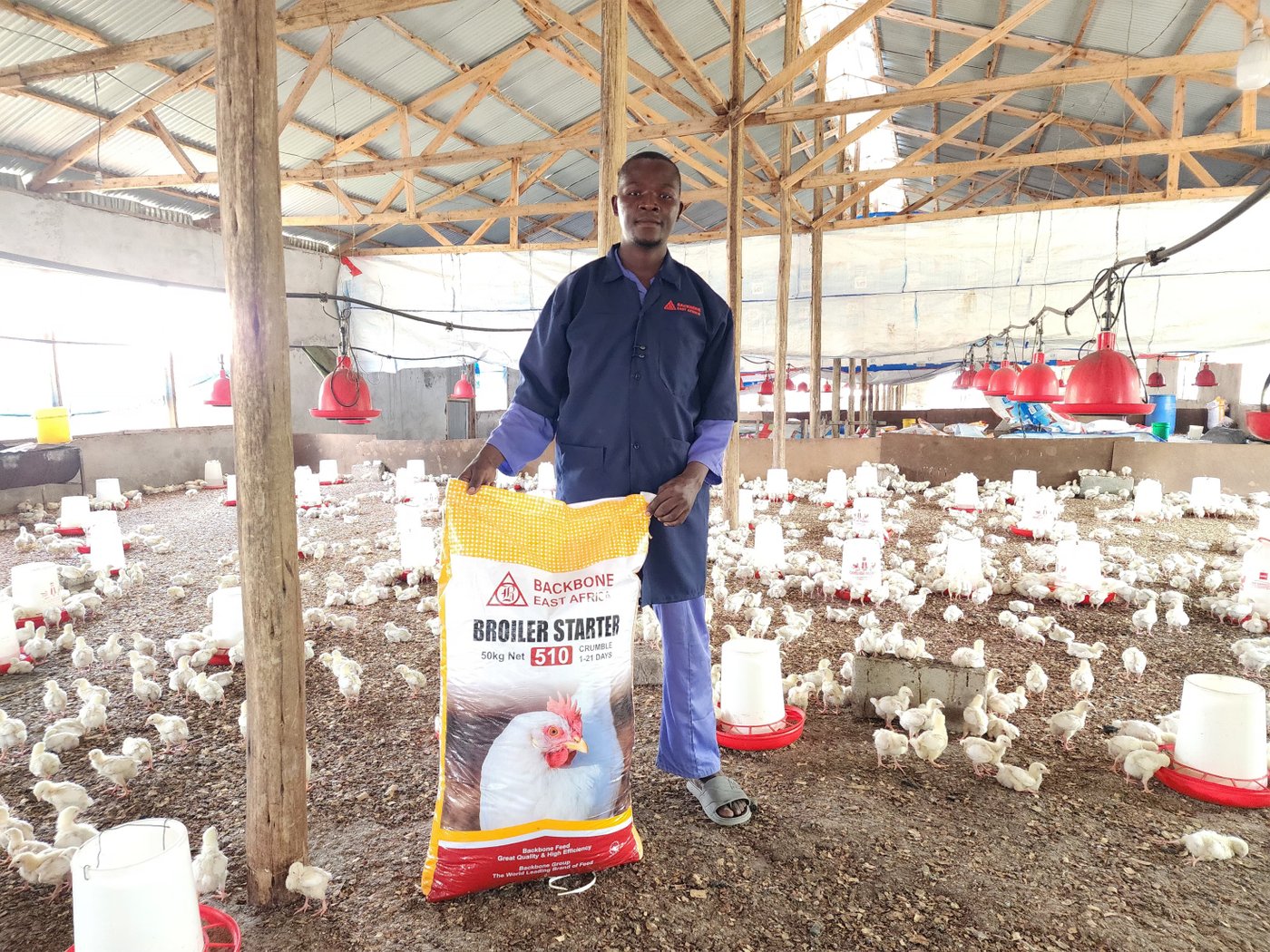 Backbone Super Grower feed in use on the farm.