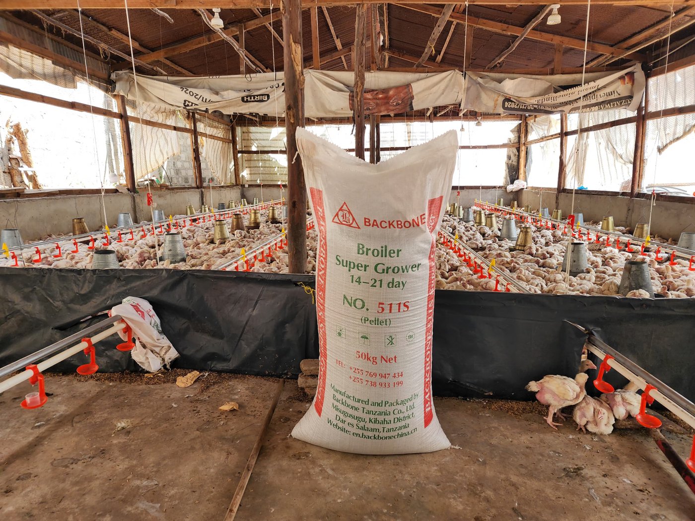Backbone Super Grower feed in use on the farm.